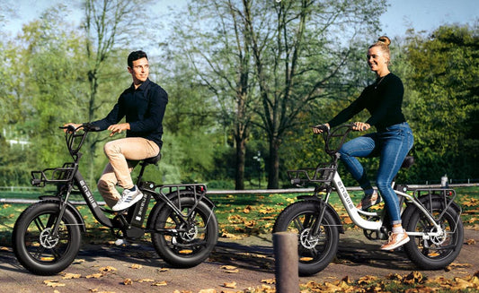 Hvorfor vælge ENGWE L20 - Fat Bike Eksperten